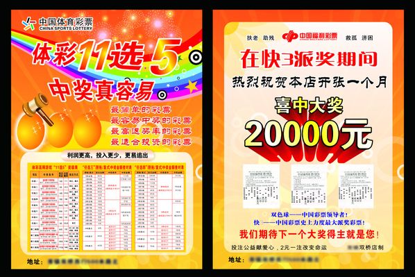 网的布局 网的布局